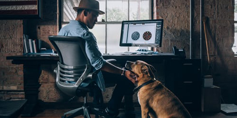 1608380696183659.jpg 未标题-2.jpg